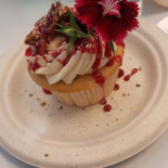 Organically Twisted Comida