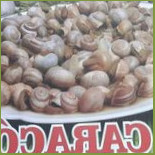 O Kebom Comida