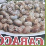 O Kebom Comida