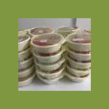 Sabor Caju Nourriture