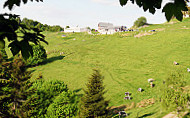 Ferme Auberge Du Treh food