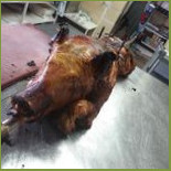 Tal-laringu Comida