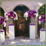 Express Gift Dentro