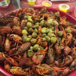Zydeclaws Comida