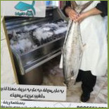 طيبات البحار Comida