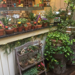 Cafe Bench Comida