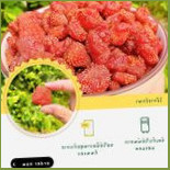 ป้อเลี้ยงน้อย-50 Comida