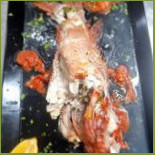 Summer Comida