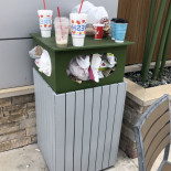 Panda Express Comida