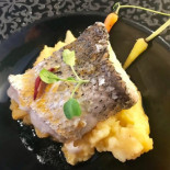 El Camelio Comida