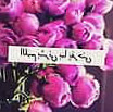 Happy Flower هابي فلاور food