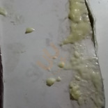 RG91 Comida
