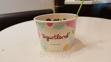 Yogurtland food