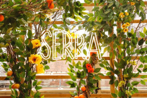 Serra By Birreria food
