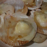 Drum Dining Comida