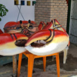 Recanto Do Nelsinho À l'intérieur