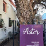 Aster Exterior