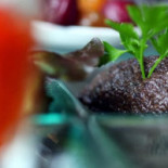 Saveurs Comida