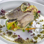 Feathers Comida