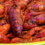 Shell Shack Comida
