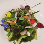 Dattilo Comida