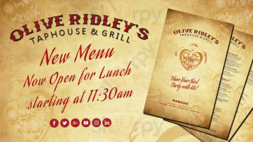 Olive Ridley's menu