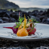 Moss Blue Lagoon Iceland food