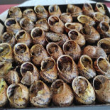 Sicoris Comida