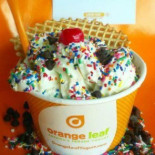 Orange Leaf Comida