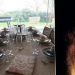 Axe' Home Comida