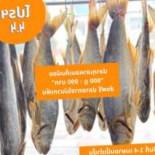 อาหารทะเลตากแห้ง ของดีเมืองนราธิวาส Comida