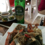 Green Bird Comida