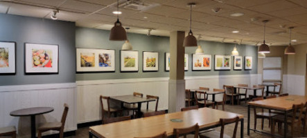 Panera Bread inside