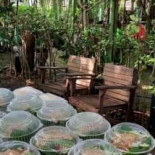 กาแฟในสวน ลำลูกกาคลอง 13 Comida