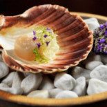 Ecco Ascona Comida