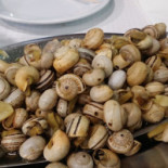 A Telha do Pao Nourriture