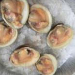 Cosenzas Fish Market Comida
