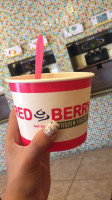 Red Berry Frozen Yogurt food