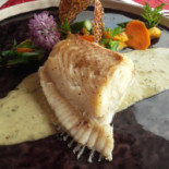 Sterenn Comida
