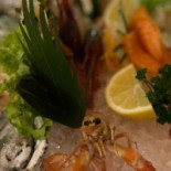 Yokosushi Closed Comida