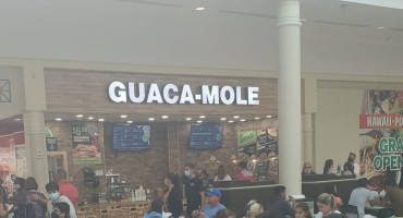Guaca-mole food