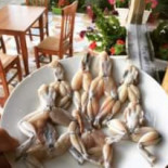 Teferic Comida
