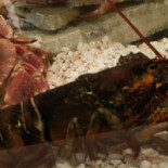L'océan Comida