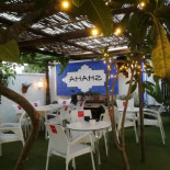 Shaha Comida