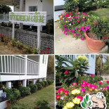 บ้านหนมเส้น Exterior