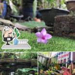 บ้านนมขนม Comida