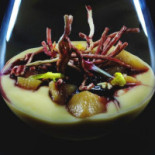 Sud Comida