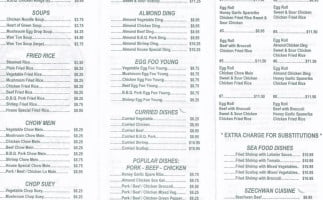 China Village menu