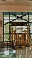 Bambusa outside