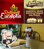 Eucaliptus food